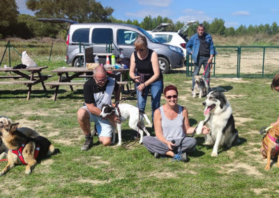 Activités olfactives canines - le cavage